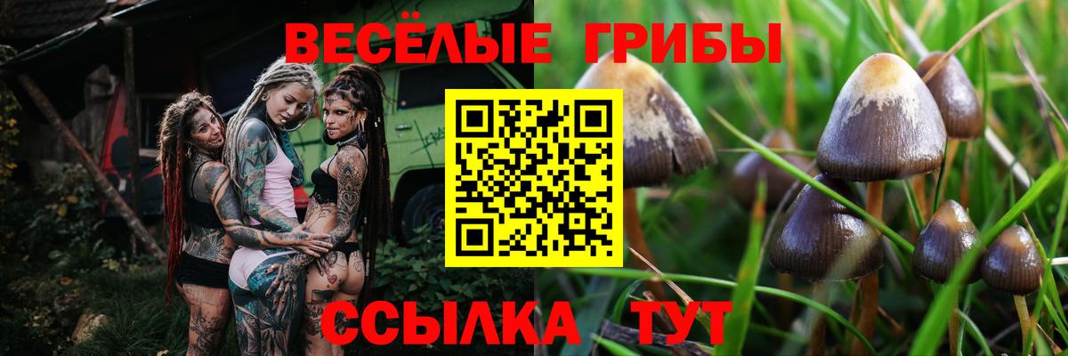 Еманжелинск  Галлюциногенные грибы мицелий  Вход с VPN  Галлюциногенные грибы Psilocybe 