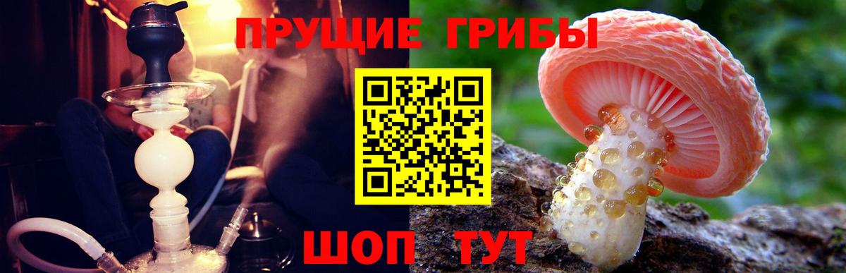 Галлюциногенные грибы мухоморы Еманжелинск